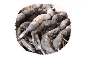れんこん昆布